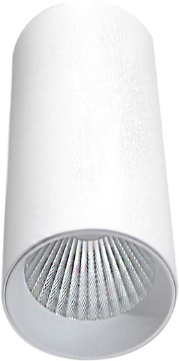 Точечный светильник Rollo DL18895R20W1W Donolux