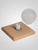 Потолочный светильник SS1N 000067477 Мелодия Света