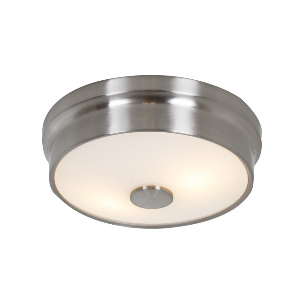 Потолочный светильник Pannikin 2691-2C Favourite