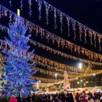 Гирлянда PRO 034132 Ardecoled