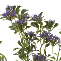 Цветок искусственный, L10 W10 H37 см, 4в.