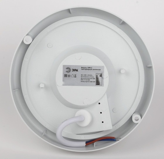 Настенно-потолочный светильник  SPB-201-0-65K-018 ЭРА