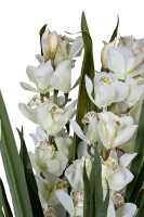 Орхидея Cymbidium искусствнная белая в горшке Орхидея Cymbidium искусствнная белая в горшке