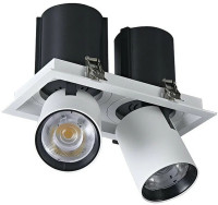 Точечный светильник Dorsum WTD.O31.067.30.20 Wertmark