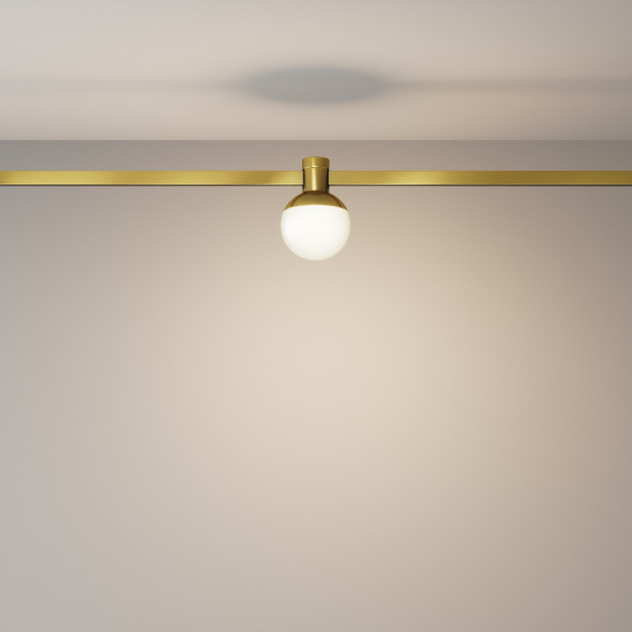 Трековый светильник Luna TR149-1-5W3K-BS Maytoni