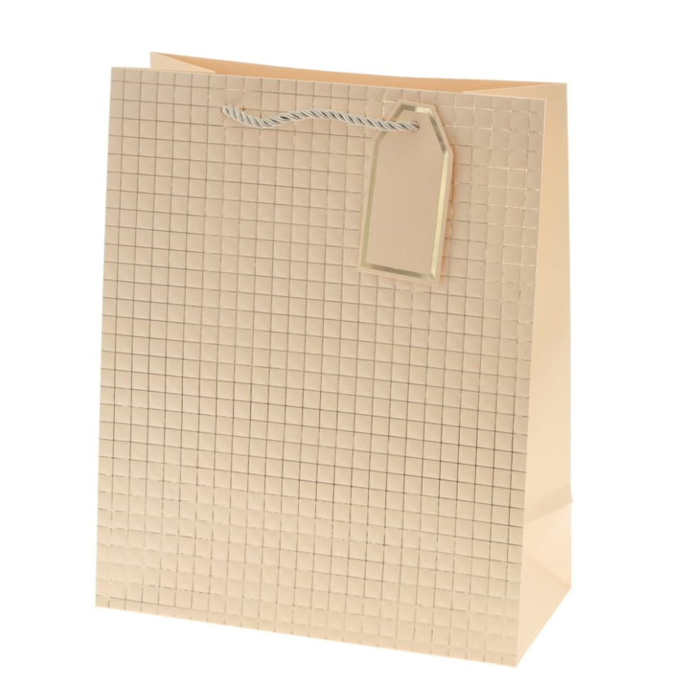 Пакет подарочный M (бумага 210г/м2, блок 12шт), L26 W12 H32 см, 14в.