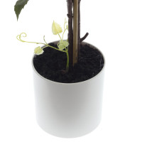 Дерево искусственное "Виноград", L35 W35 H123 см