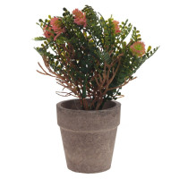 Цветочная композиция, L9 W9 H18 см