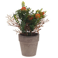 Цветочная композиция, L9 W9 H18 см