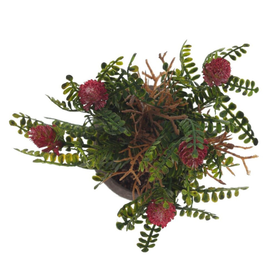 Цветочная композиция, L9 W9 H18 см