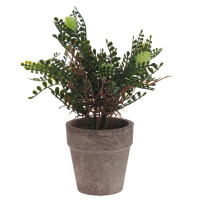 Цветочная композиция, L9 W9 H18 см