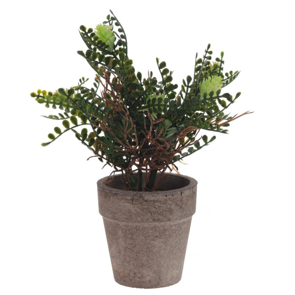 Цветочная композиция, L9 W9 H18 см