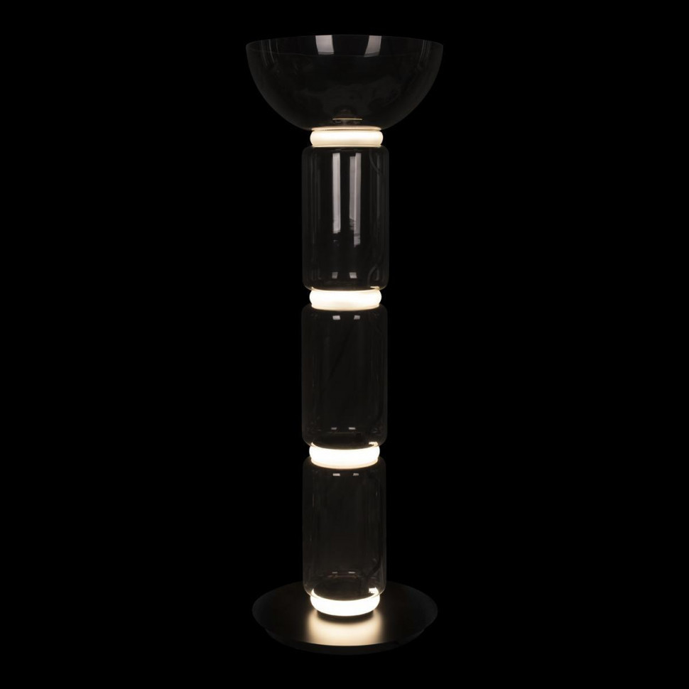 Торшер светодиодный Loft IT Noctambule 10192F/M