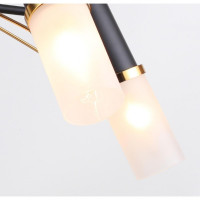 Потолочная люстра F-Promo Viator 2558-5P Потолочная люстра F-Promo Viator 2558-5P