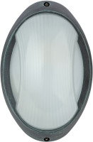 Настенный светильник уличный SIDNEY 10808 V Oasis Light