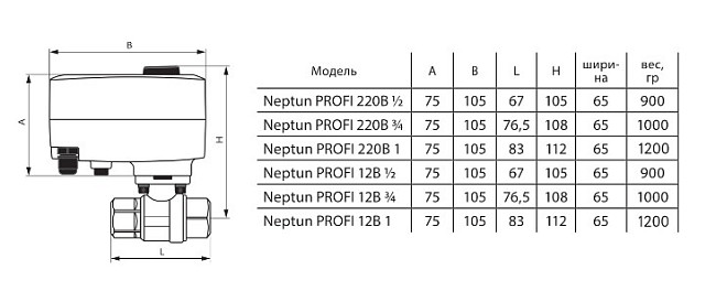 Электрокран Neptun Profi Special Edition 1419523