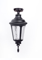 Потолочный светильник уличный MUNICH 2S 79755SA Bl Oasis Light