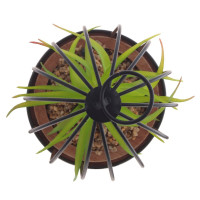 Цветочная композиция "Суккулент", L12 W12 H18 см