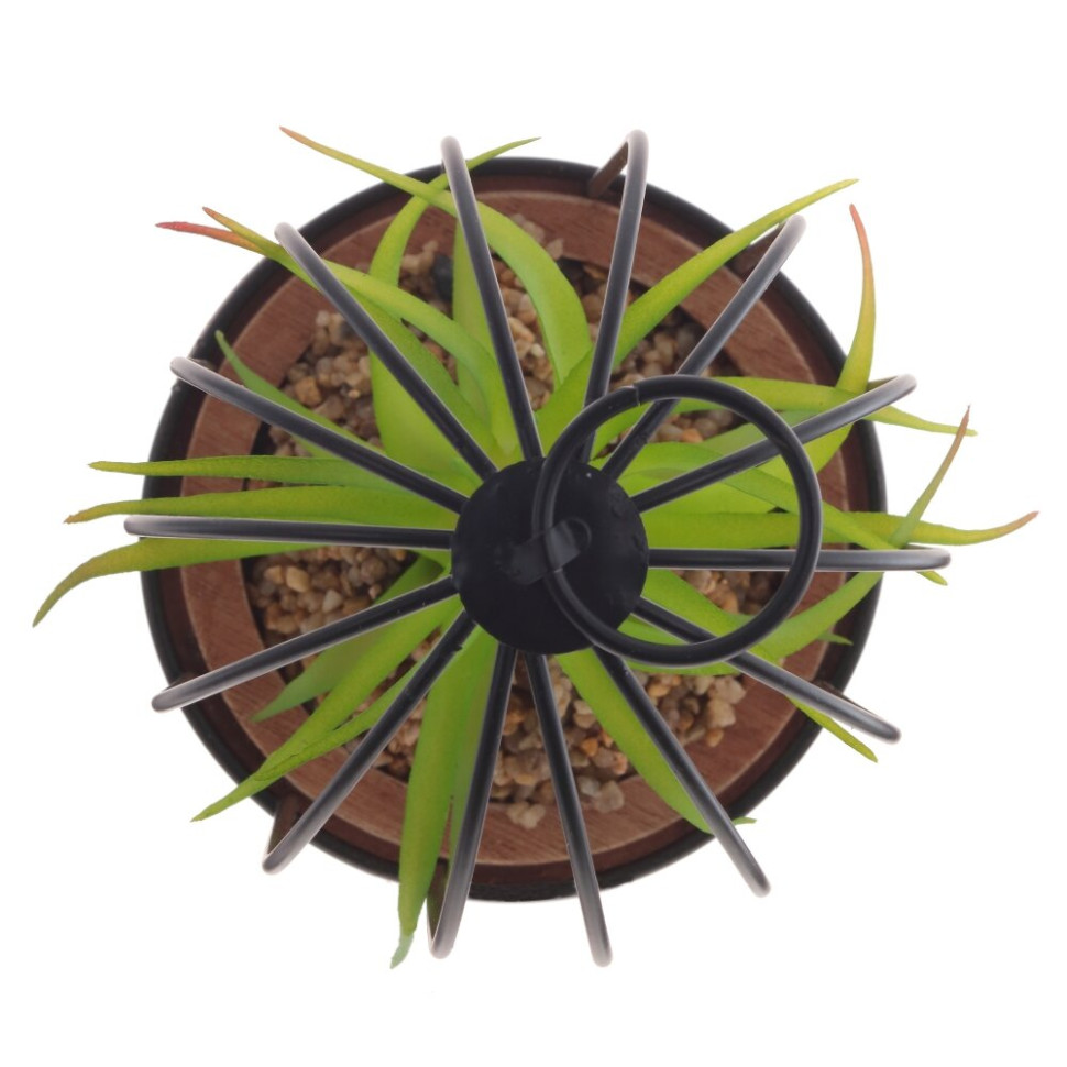 Цветочная композиция "Суккулент", L12 W12 H18 см