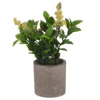 Цветочная композиция, L10 W10 H18 см