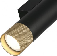 Настенный светильник Delta 2365-2 BK+BR iLedex