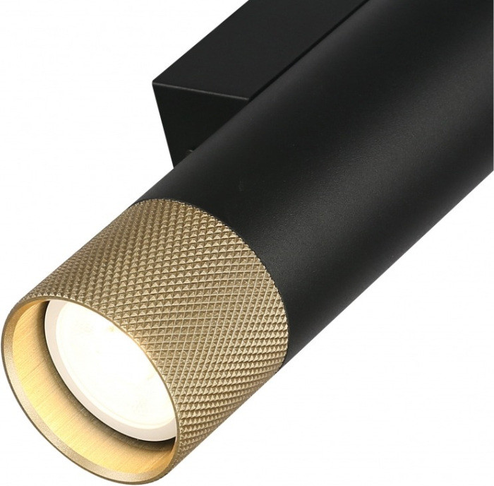 Настенный светильник Delta 2365-2 BK+BR iLedex