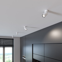 Спот Niro 25013/01 Elektrostandard