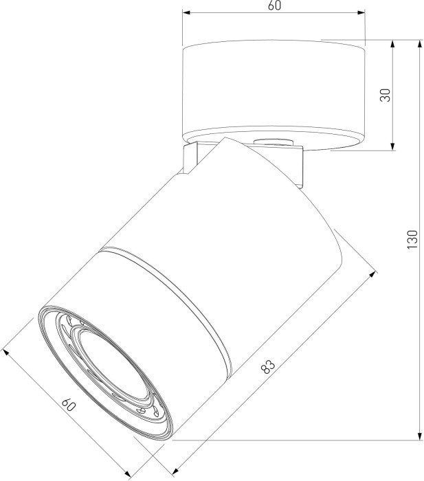 Спот Niro 25013/01 Elektrostandard