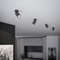 Спот Niro 25013/01 Elektrostandard