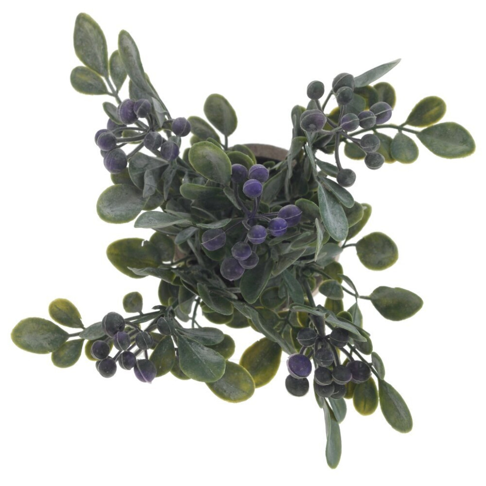 Цветочная композиция, L8 W8 H18 см