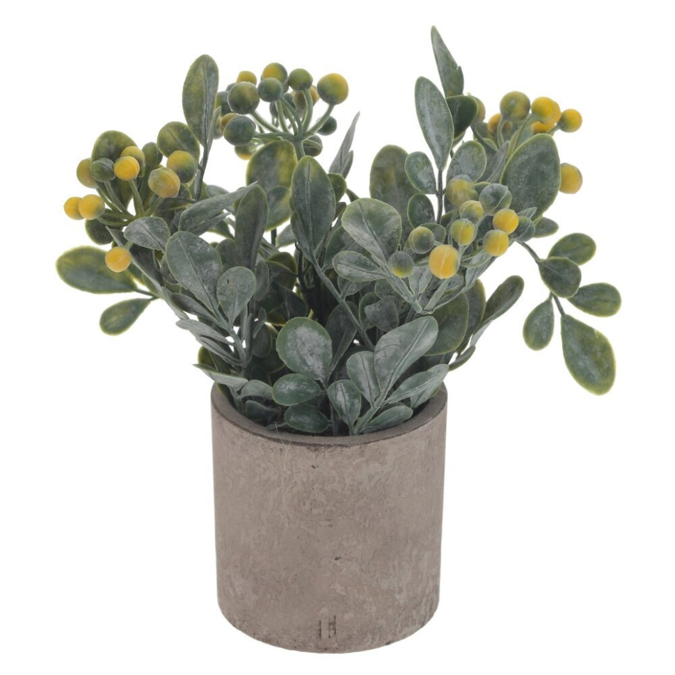 Цветочная композиция, L8 W8 H18 см