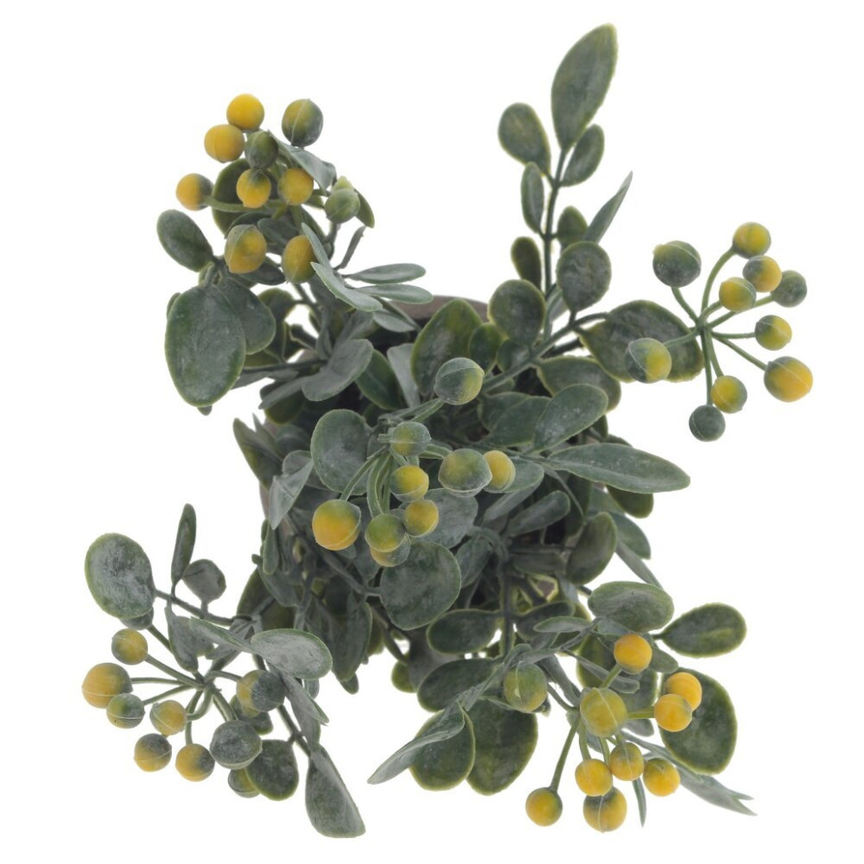 Цветочная композиция, L8 W8 H18 см