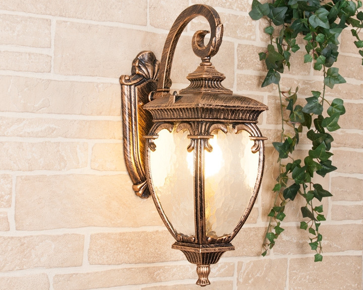 Настенный фонарь уличный Andromeda GLYF-8024D Elektrostandard