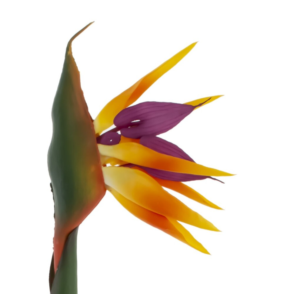 Цветок искусственный "Стрелиция" (Real Touch), L18 W11 H81 см