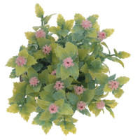 Цветочная композиция, L11 W11 H17 см