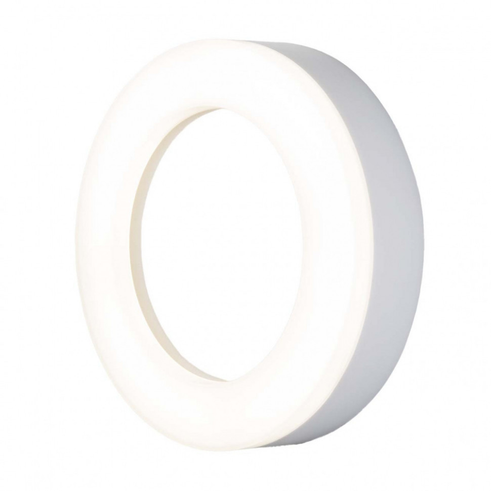 Настенно-потолочный светильник Rim LTB52 белый Elektrostandard