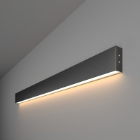 Настенный светильник Grand 101-100-30-103 Elektrostandard