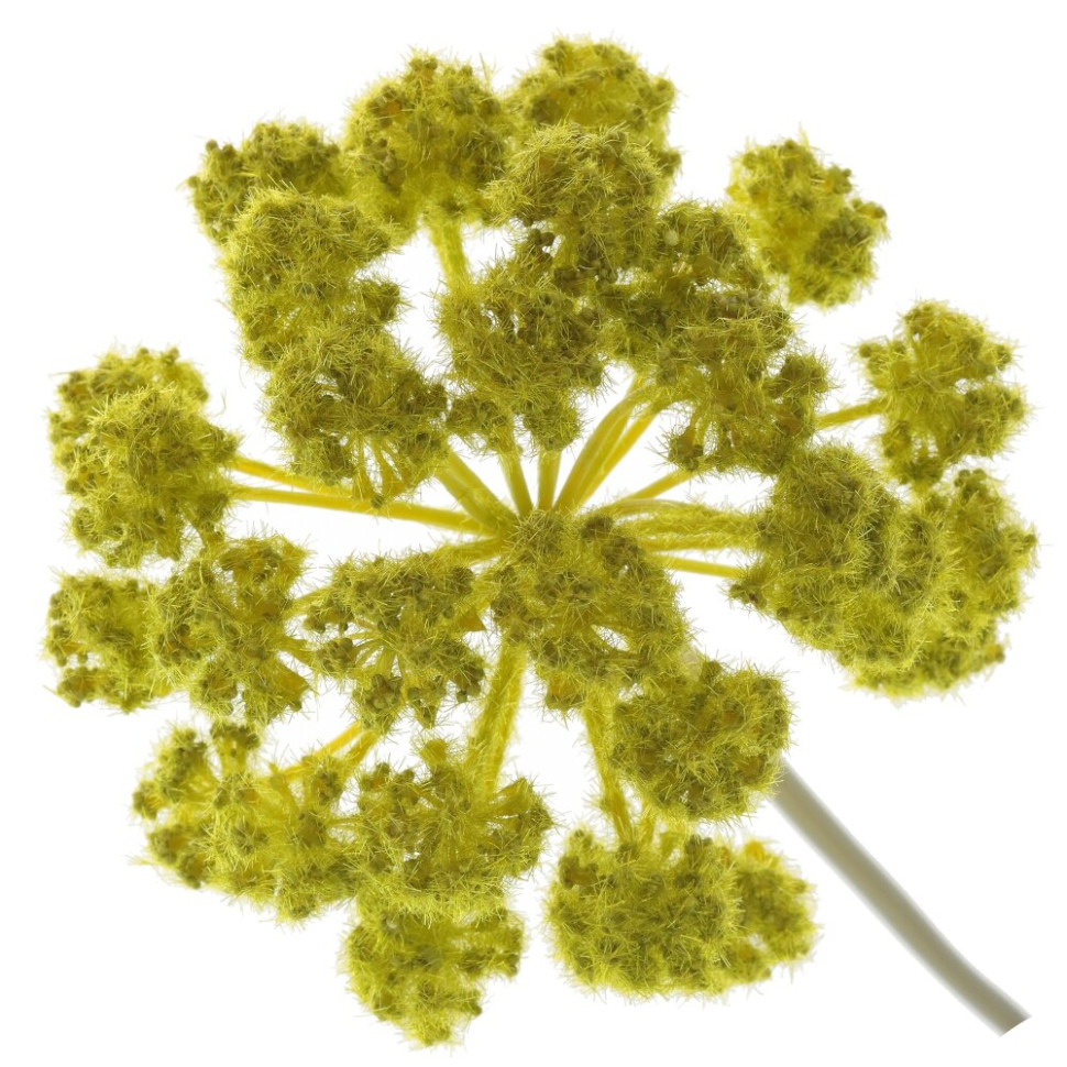 Цветок искусственный "Дягиль", L16 W16 H80 см