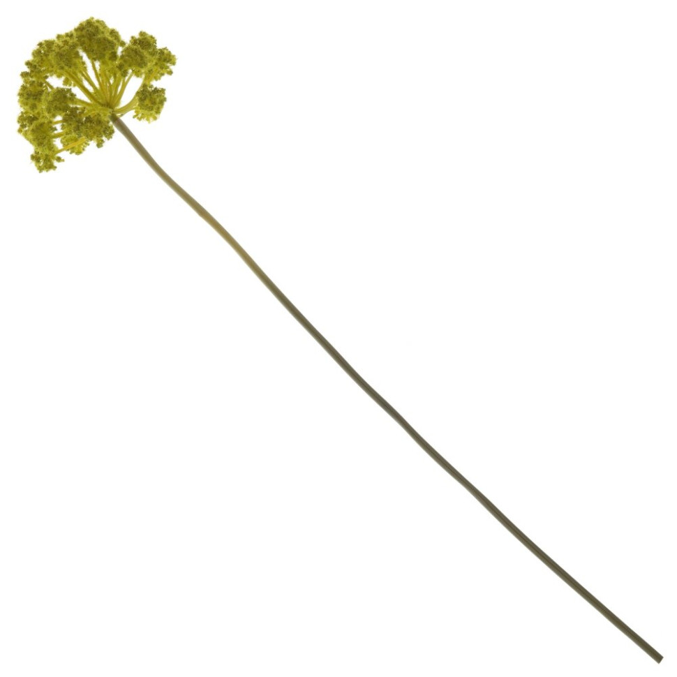 Цветок искусственный "Дягиль", L16 W16 H80 см