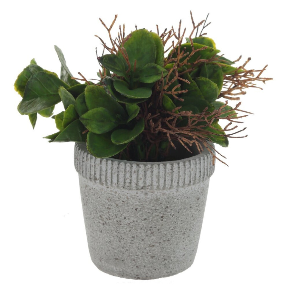 Цветочная композиция, L11 W11 H16 см