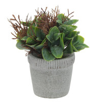 Цветочная композиция, L11 W11 H16 см