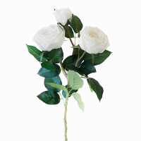 Роза пионовидная 3 бутона (белый)
