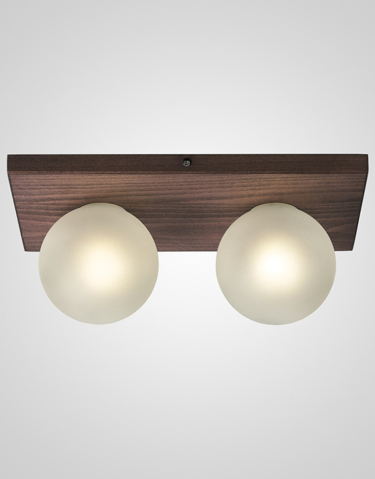 Потолочный светильник SS1N 000067491 Мелодия Света