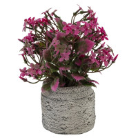 Цветочная композиция, L14 W13 H19 см