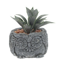 Цветочная композиция "Суккулент", L11 W11 H12 см