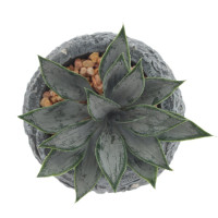 Цветочная композиция "Суккулент", L11 W11 H12 см