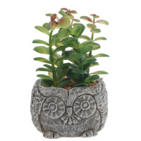 Цветочная композиция "Суккулент", L11 W11 H12 см