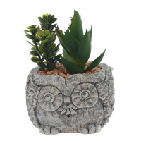 Цветочная композиция "Суккулент", L11 W11 H12 см