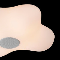 Потолочный светильник Eos 5874 Mantra