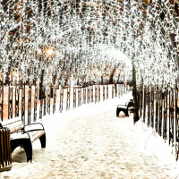 Гирлянда CLASSIC 034915 Ardecoled